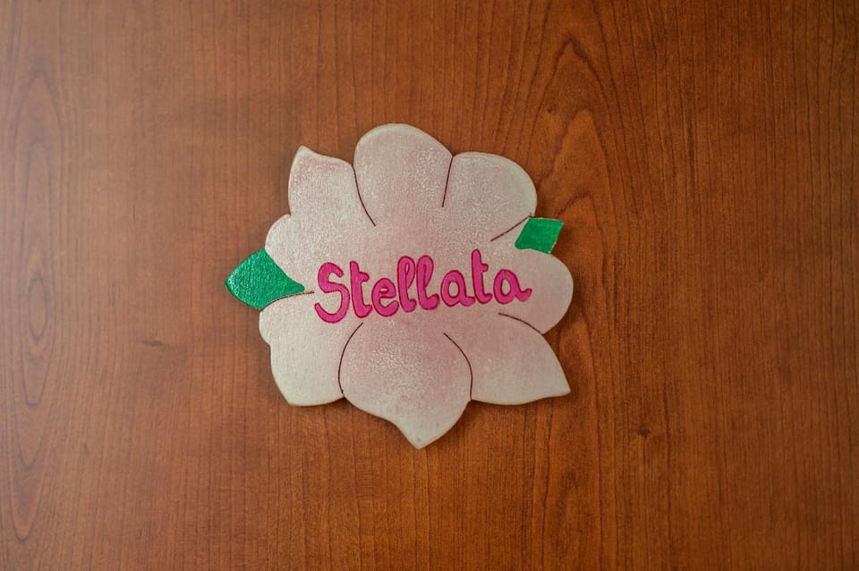 Casa Vacanze La Magnolia Apartment in Umbria