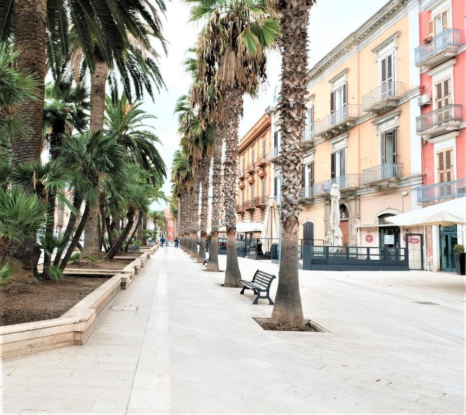Neighbourhood, Street view