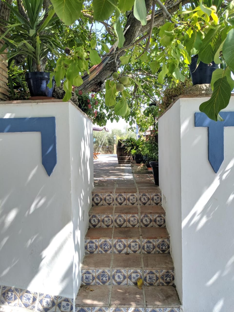 Garden, Balcony/Terrace