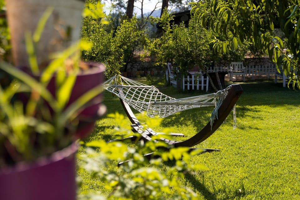 Day, Garden, View (from property/room)