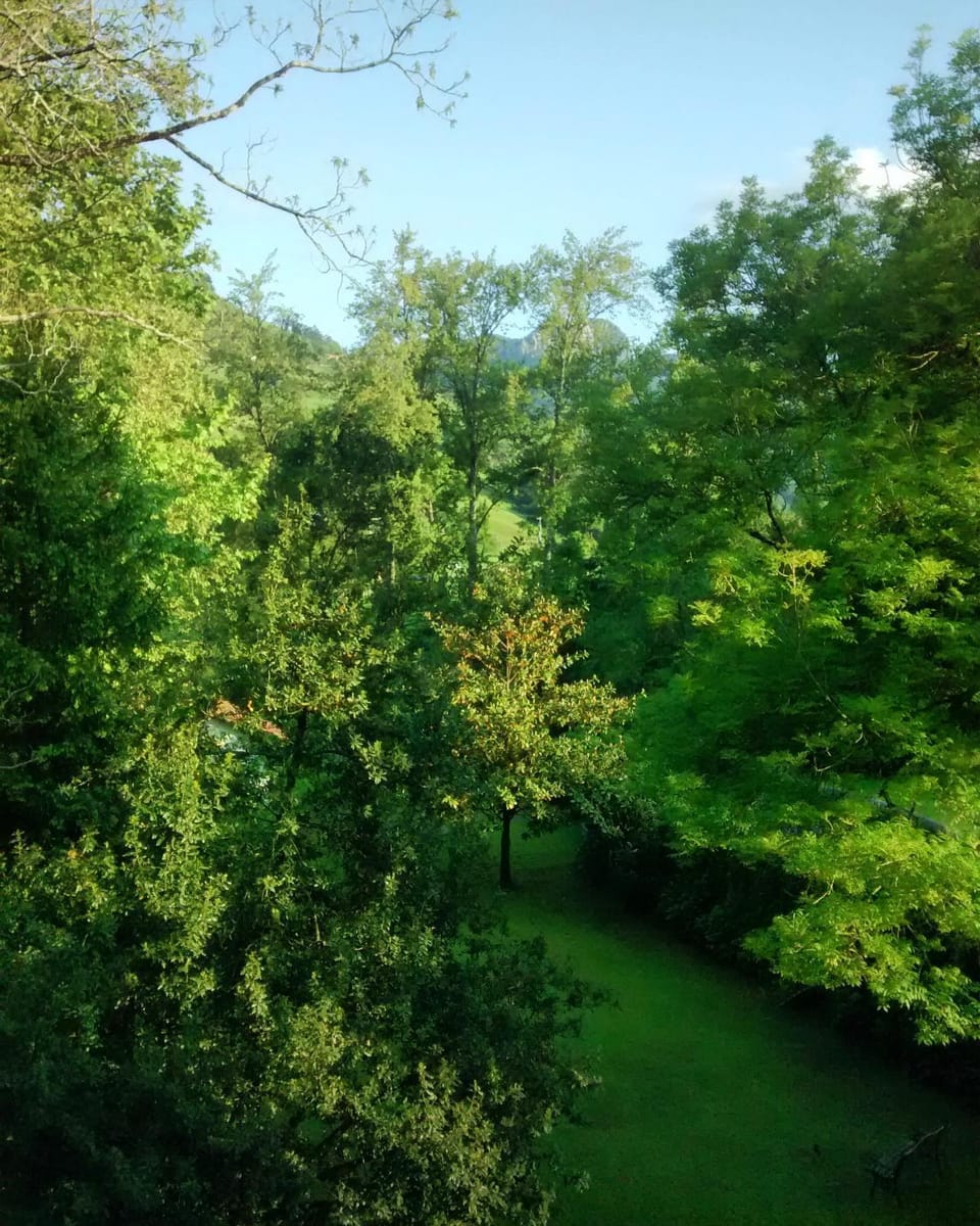Garden view