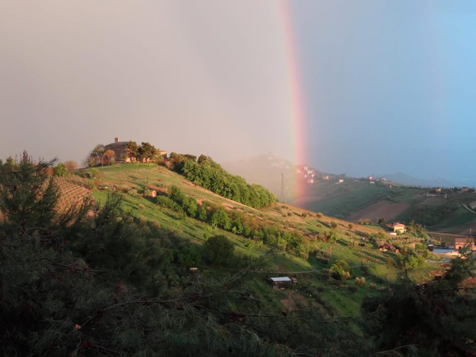 Natural landscape