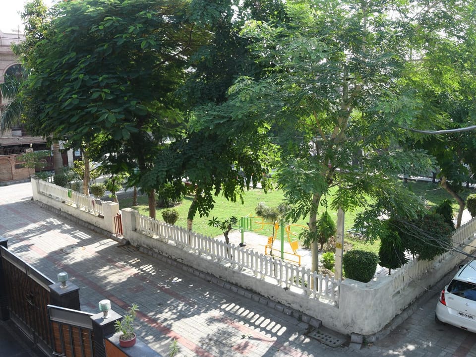 Garden view