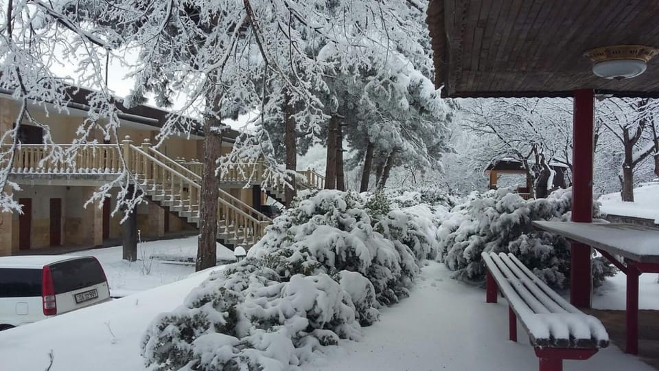 Garden, View (from property/room)
