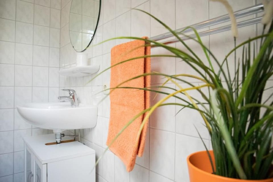 Bathroom, Photo of the whole room, hair dryier, towels, washing machine