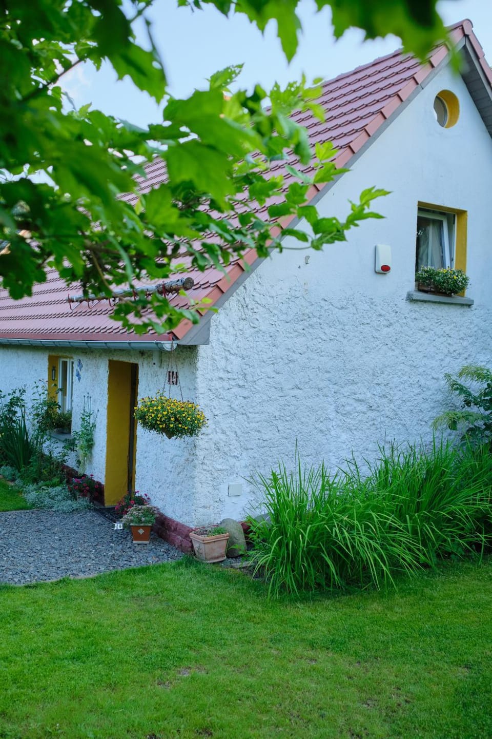 Property building, Summer, Garden, Garden view