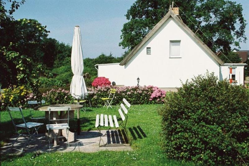 Property building, Garden