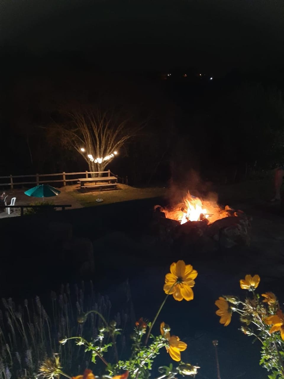 Fazenda Paisagem Chalés Bed and Breakfast in Serra Negra