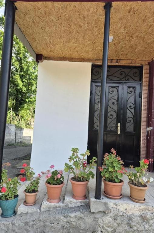 Day, Garden, Garden view