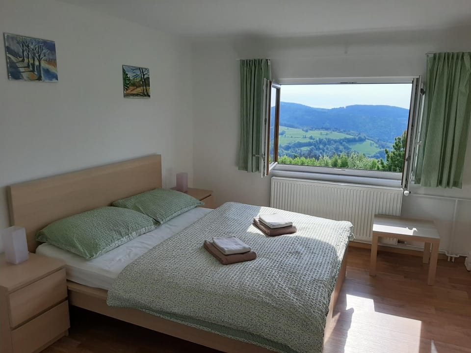Naproti Klínovci House in Czechia