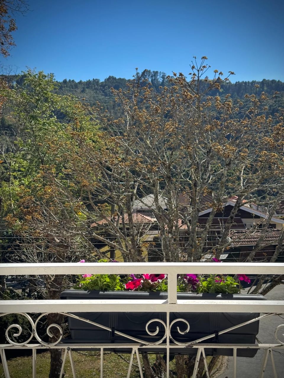 Pousada Doce Vida - 12 min do Centrinho Turístico Inn in Campos do Jordão