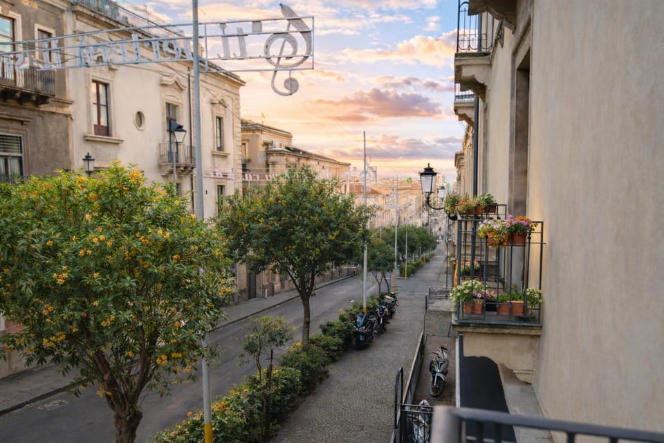 Day, Neighbourhood, Street view, Location