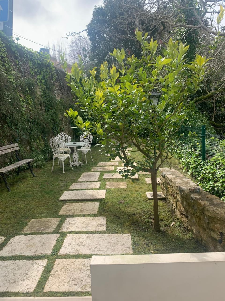 Garden view