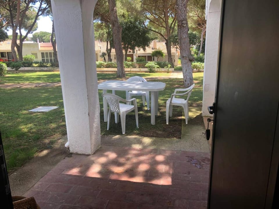 Patio, Garden