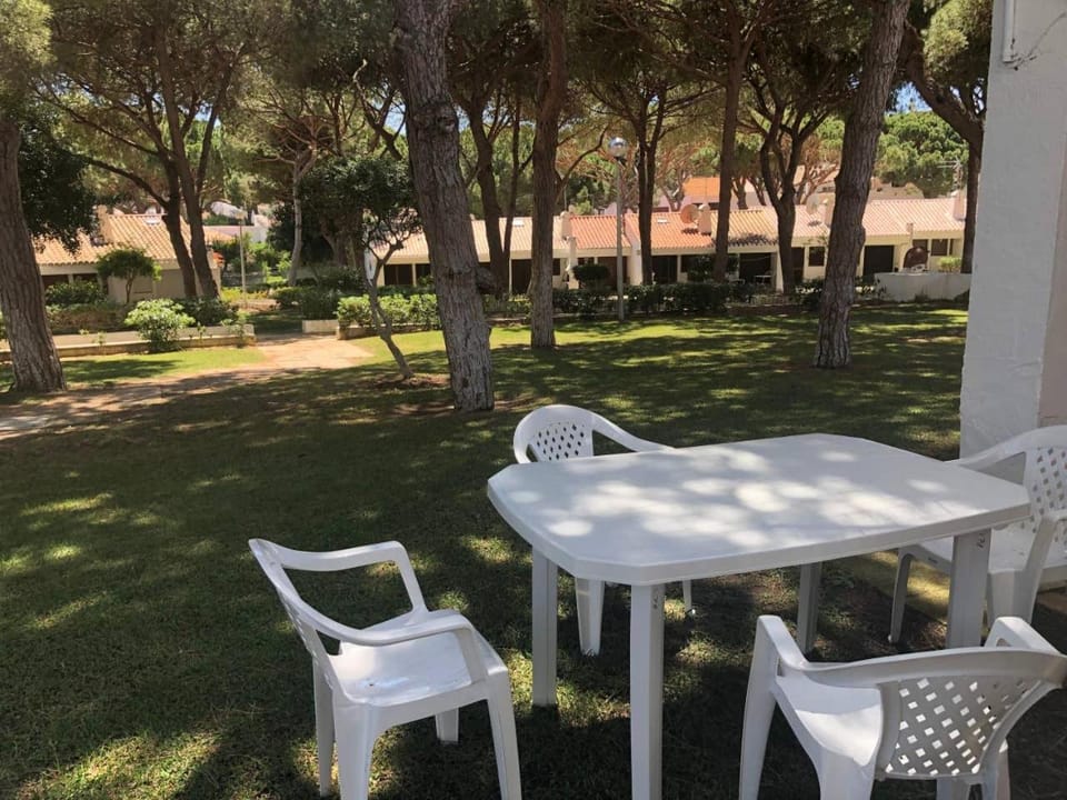 Patio, Garden, Balcony/Terrace