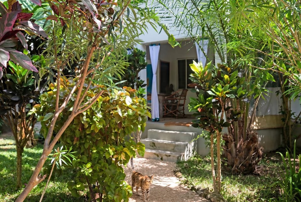 Garden view