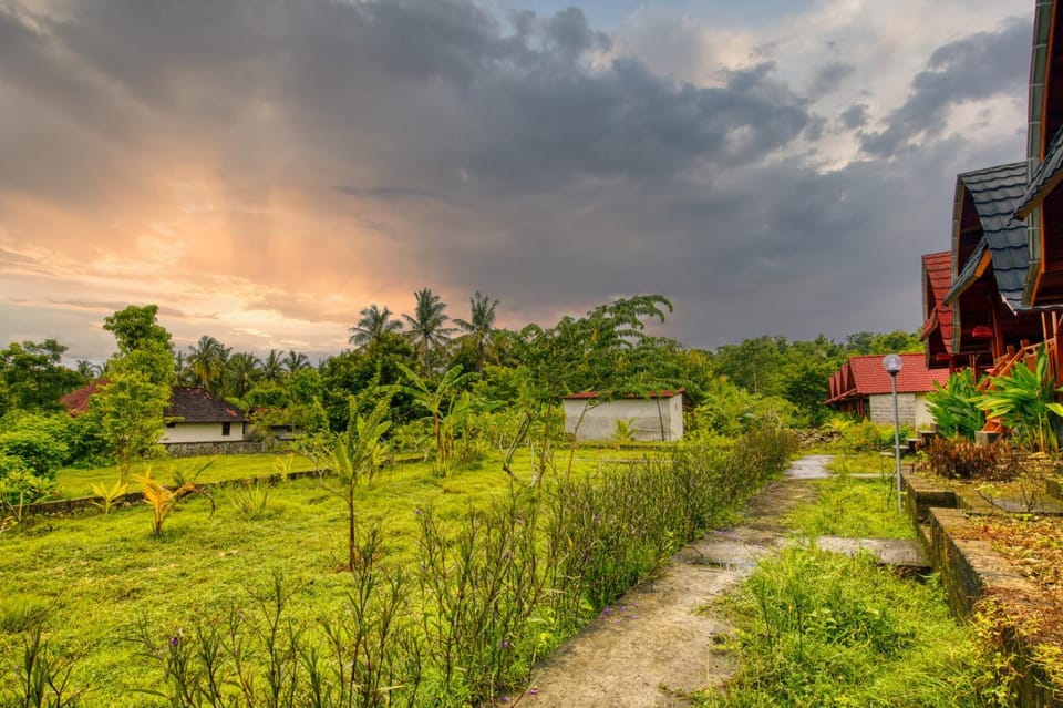 Property building, Natural landscape, Garden