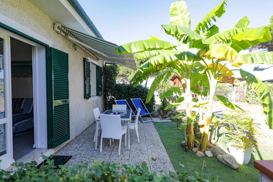 Patio, Facade/entrance