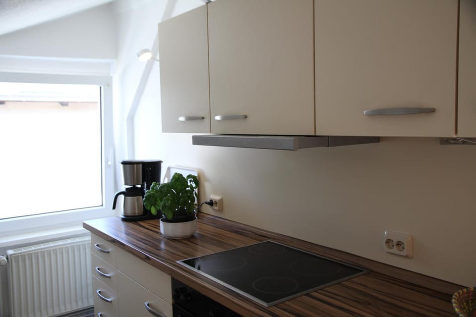 Kitchen or kitchenette, Photo of the whole room