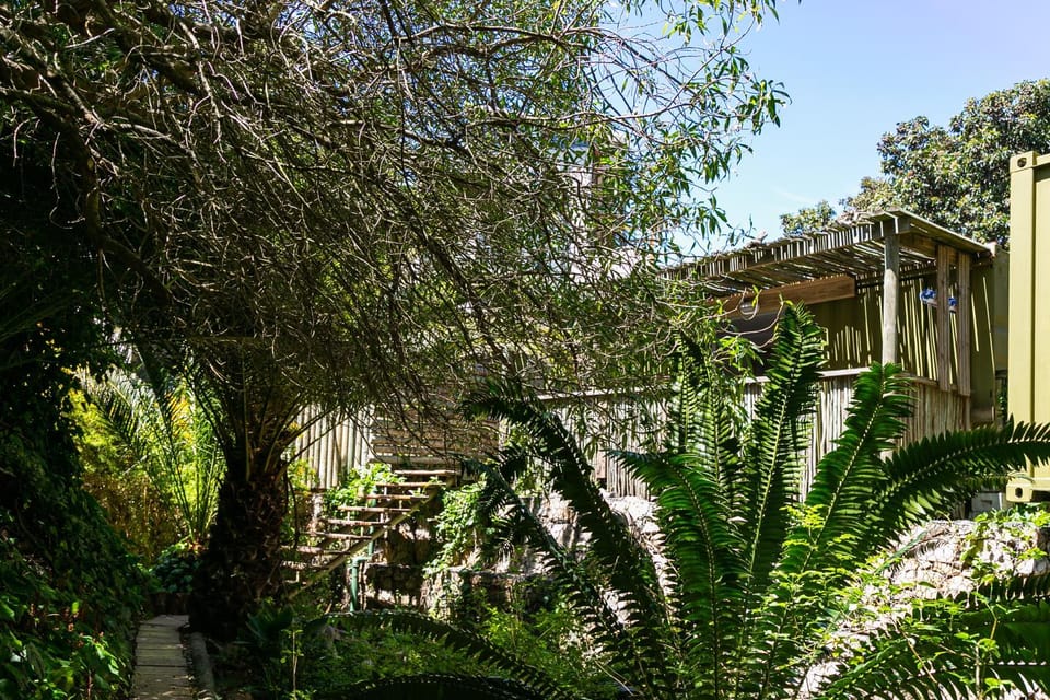 Spring, Day, Natural landscape, Garden, Garden view