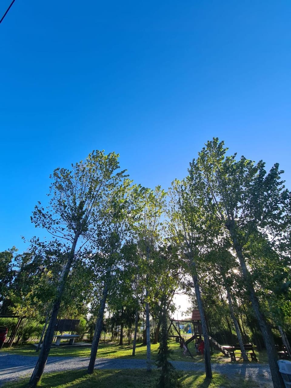Natural landscape