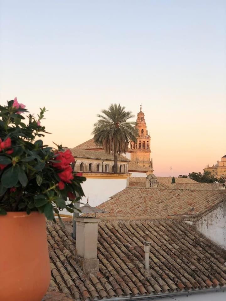 Dúplex el Espejo de la Mezquita Apartment in Cordoba