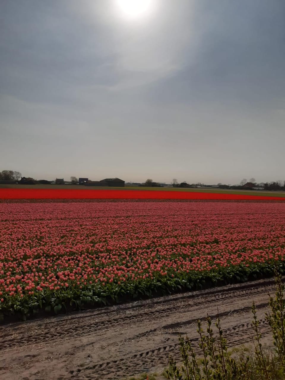 Natural landscape