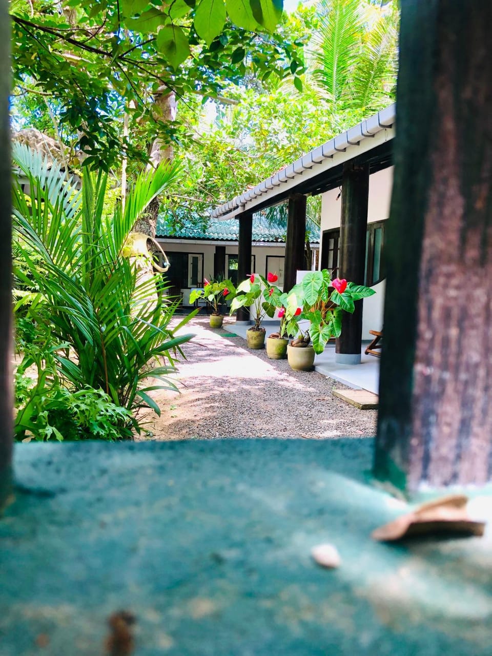 Property building, Garden
