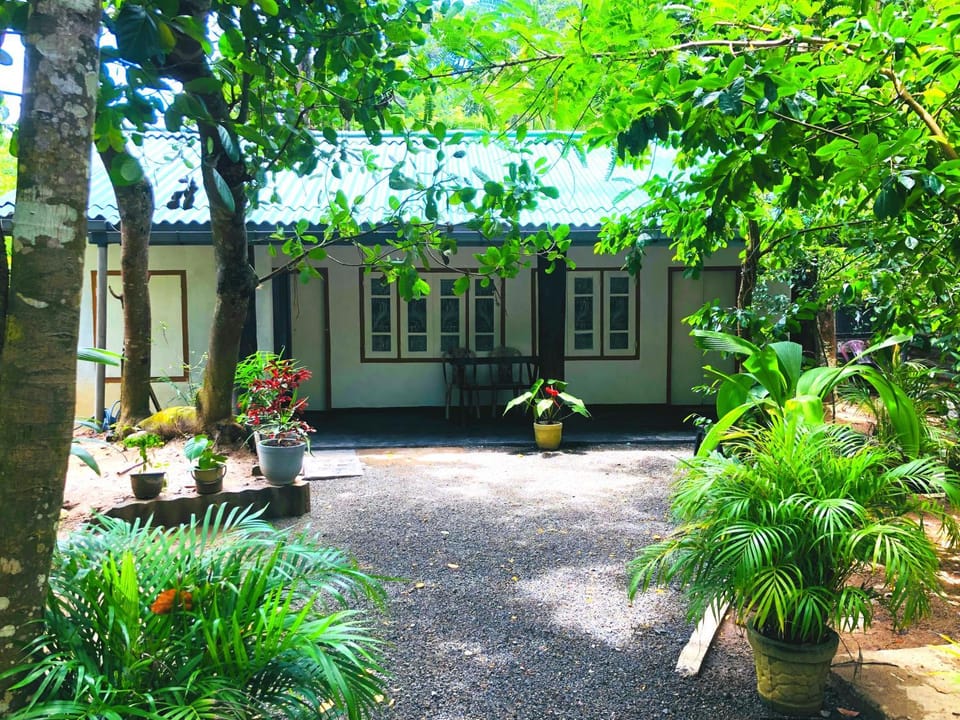 Property building, Day, Garden, Garden view