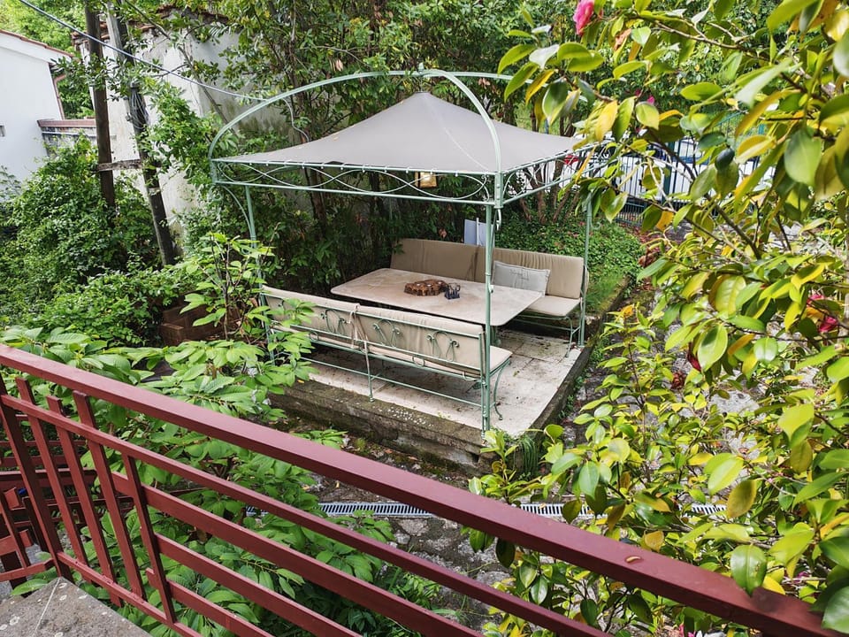 Patio, View (from property/room), Seating area, Garden view