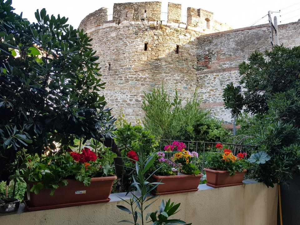Facade/entrance, Garden