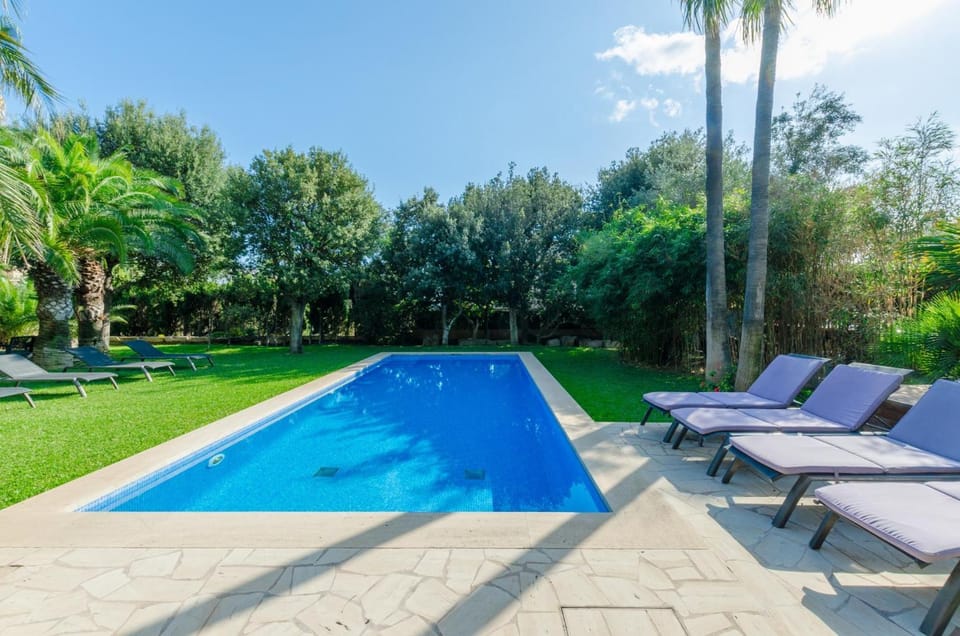 Pool view, Swimming pool, Swimming pool