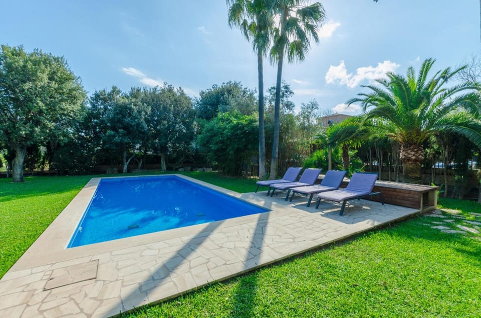 Garden, Swimming pool, Swimming pool