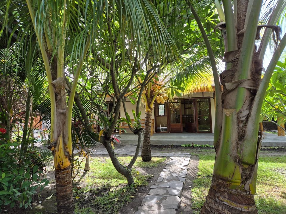 Natural landscape, Garden, Garden view