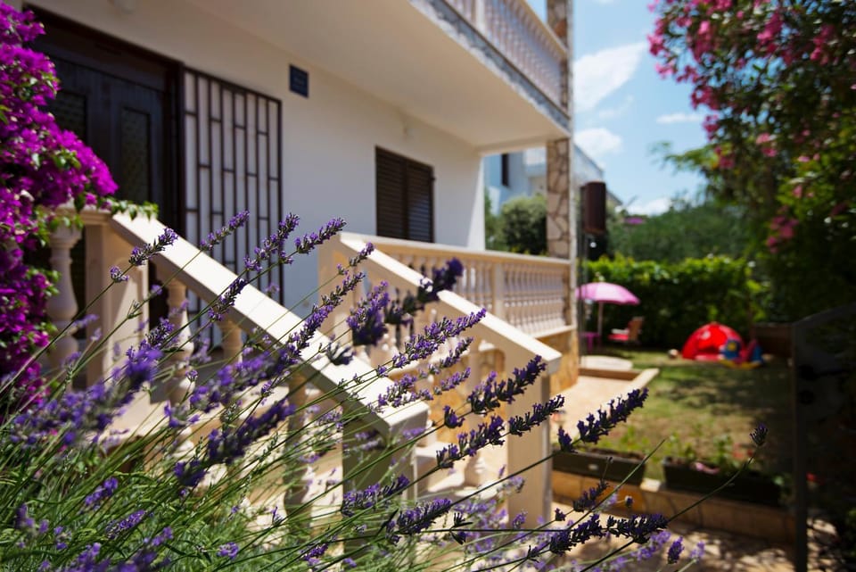 Facade/entrance, Day, Garden