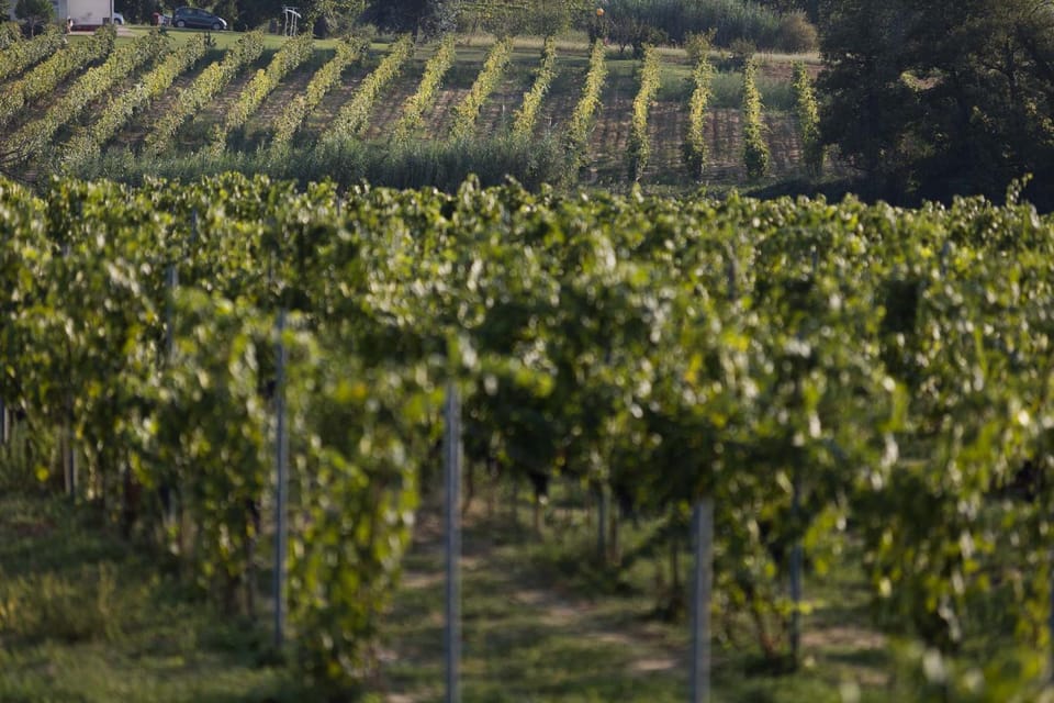Agriturismo Le Baccane Farm Stay in Emilia-Romagna