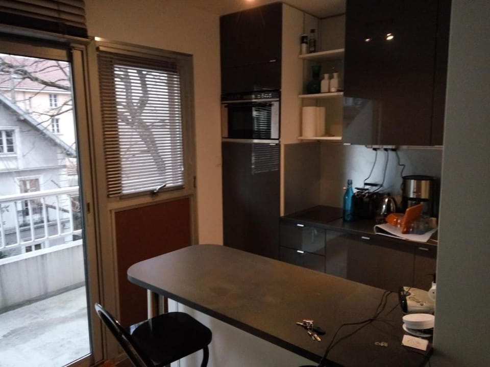 Appartement 2 pieces 40 m2, dans hyper centre, avec piscine au rez de chaussee Apartment in Grenoble