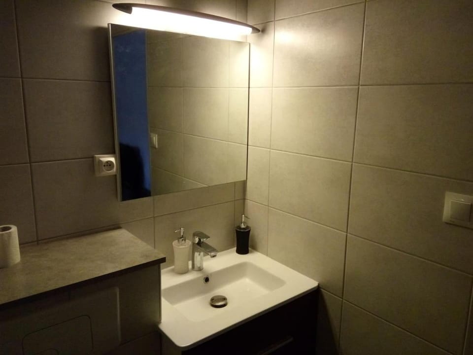 Appartement 2 pieces 40 m2, dans hyper centre, avec piscine au rez de chaussee Apartment in Grenoble