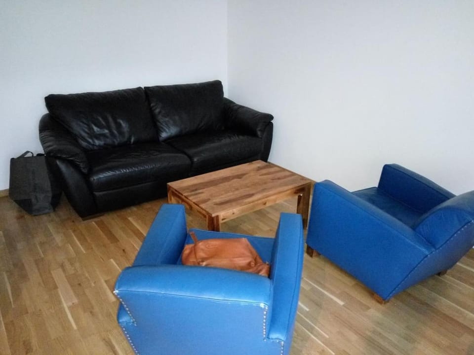 Appartement 2 pieces 40 m2, dans hyper centre, avec piscine au rez de chaussee Apartment in Grenoble