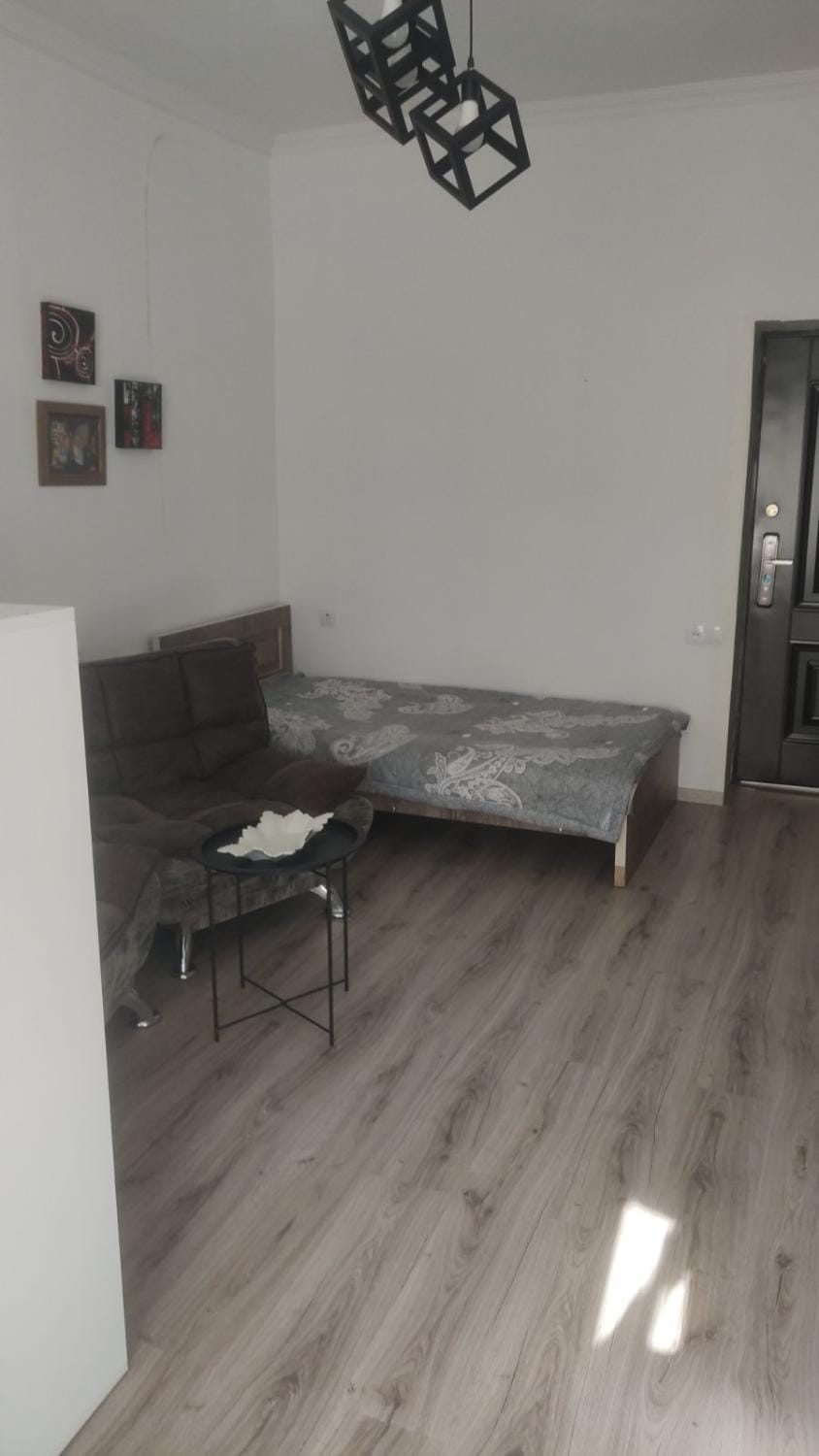 ,,salomea,, Apartment in Tbilisi, Georgia