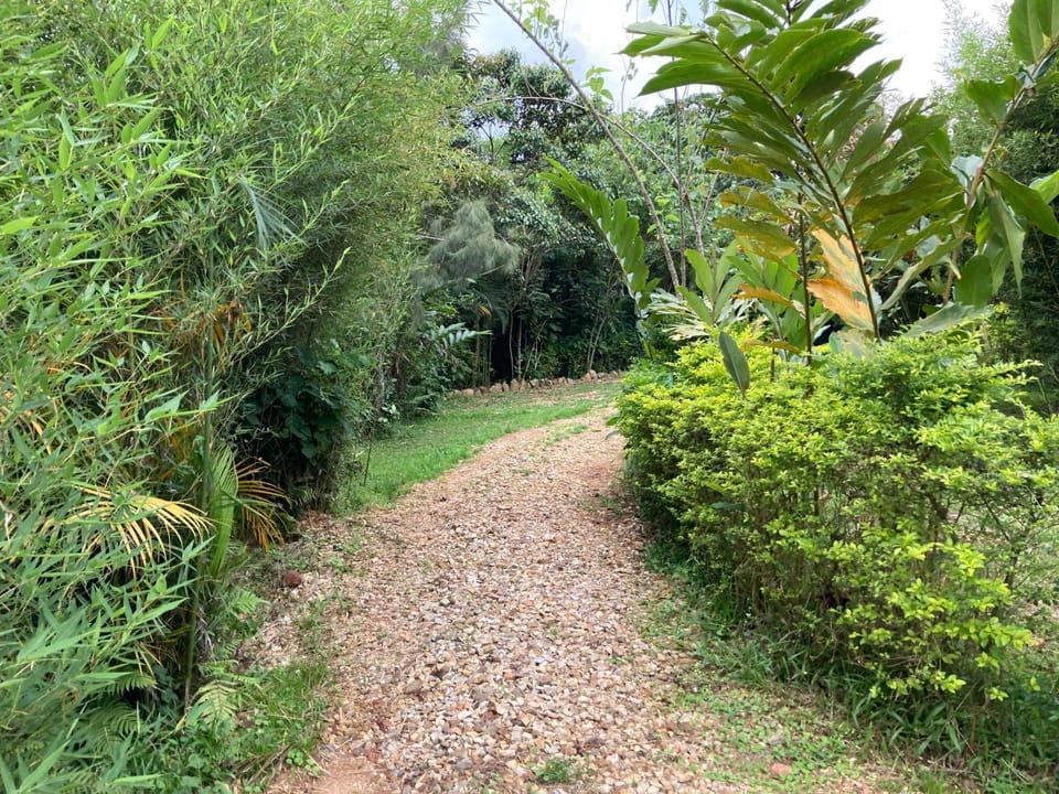 Natural landscape, Garden view