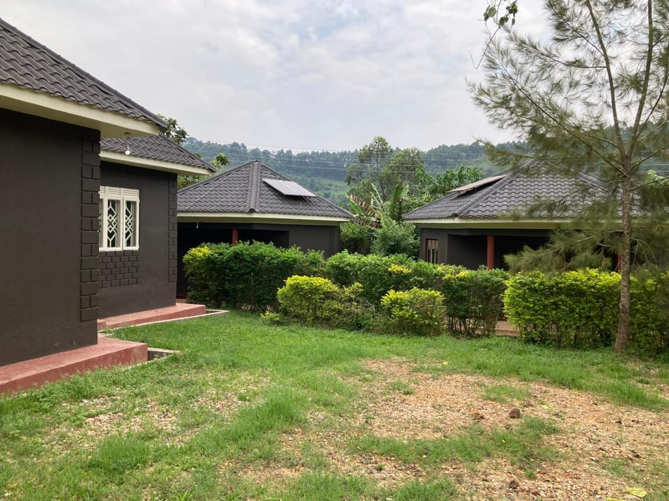 Property building, Natural landscape, Garden, Garden view