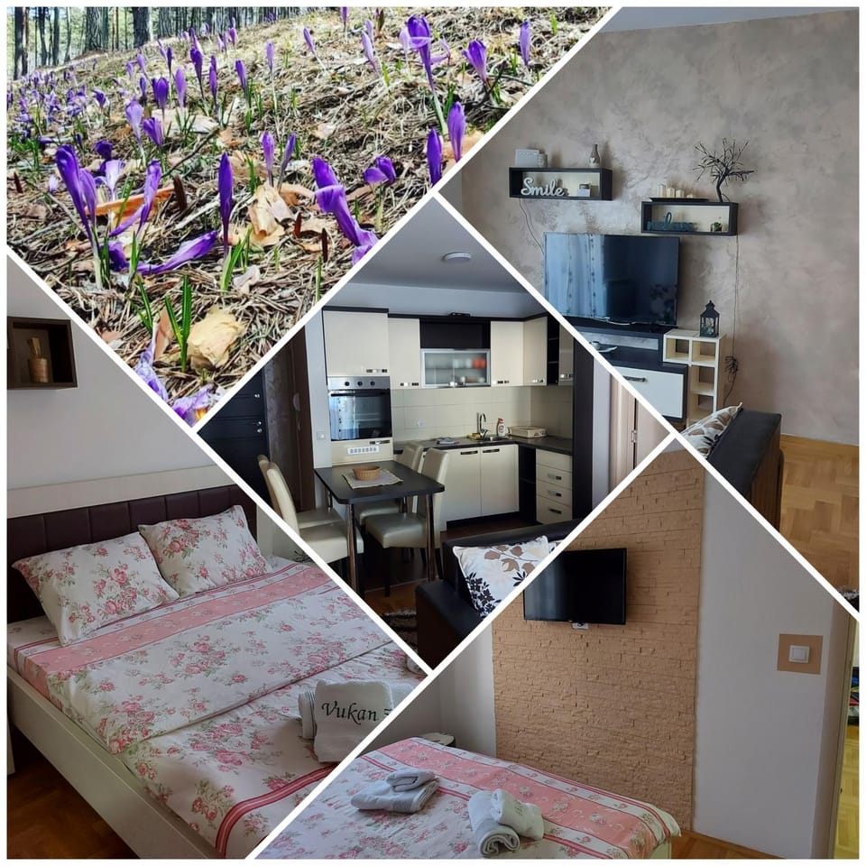 Apartman VUKAN petica Apartment in Zlatibor
