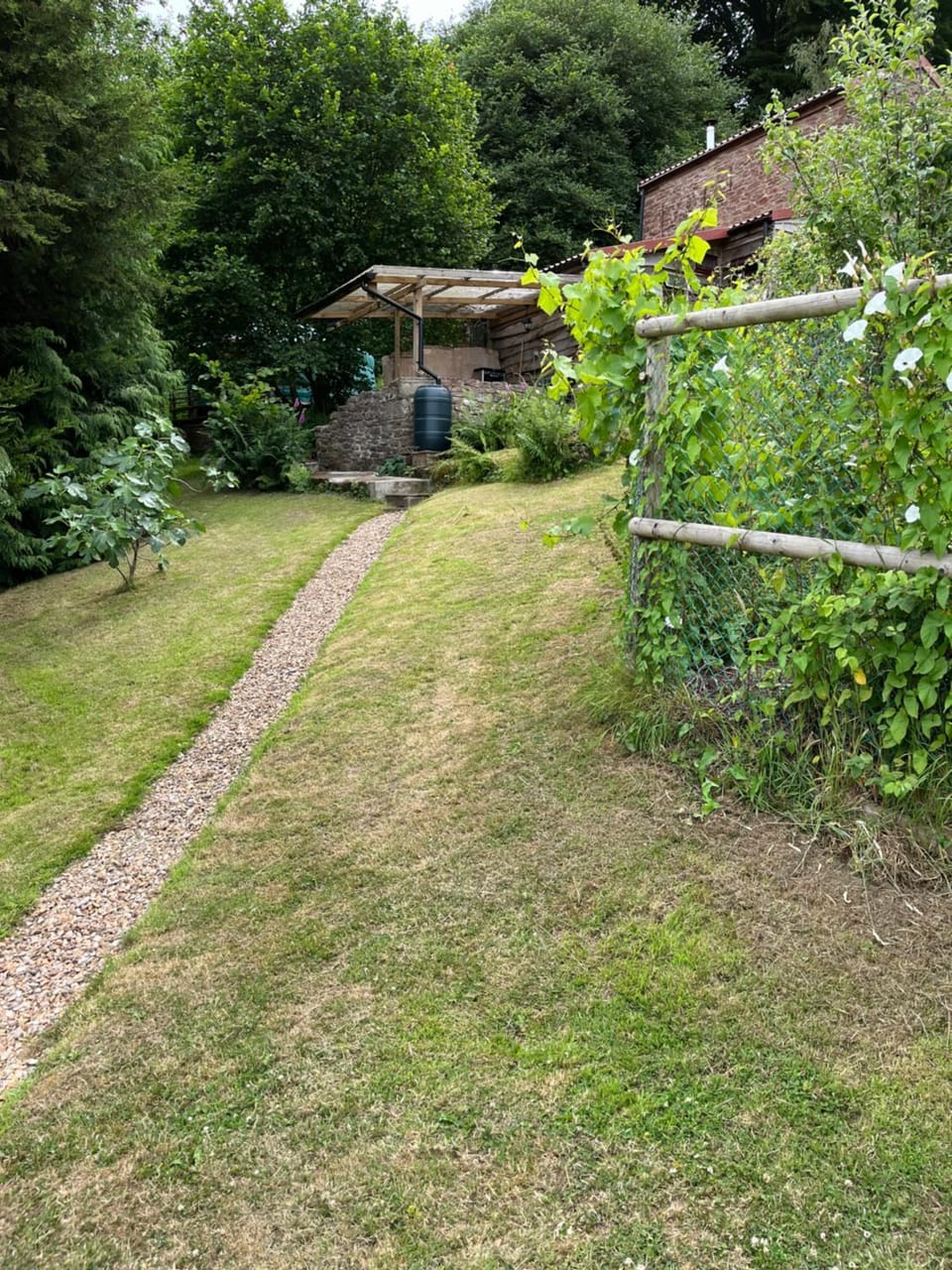 Day, Natural landscape, Garden, Garden view