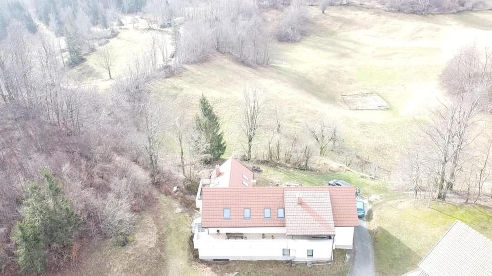 Holiday country house Gora Apartment in Slovenia