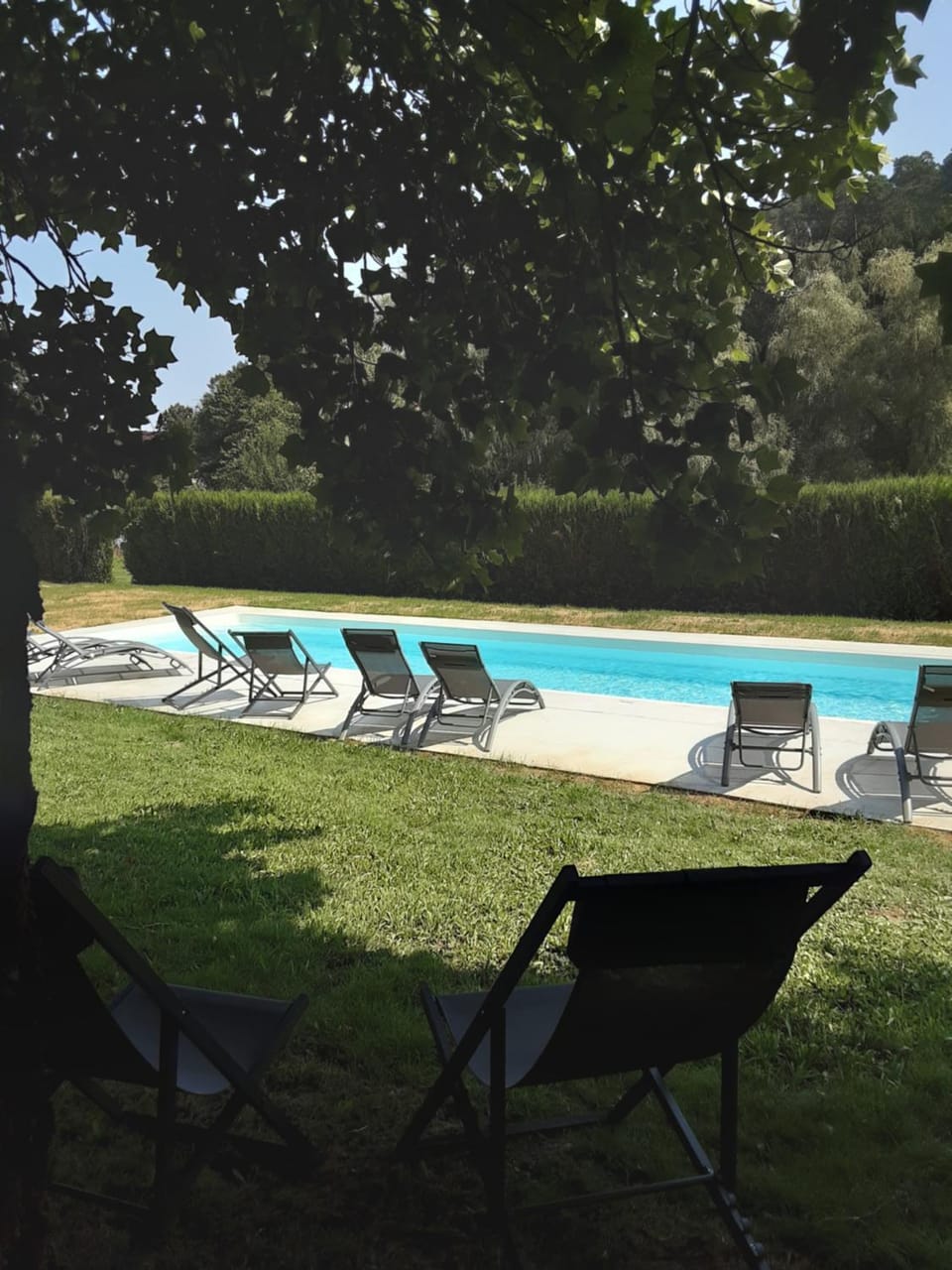 Garden, Pool view, Swimming pool, sunbed