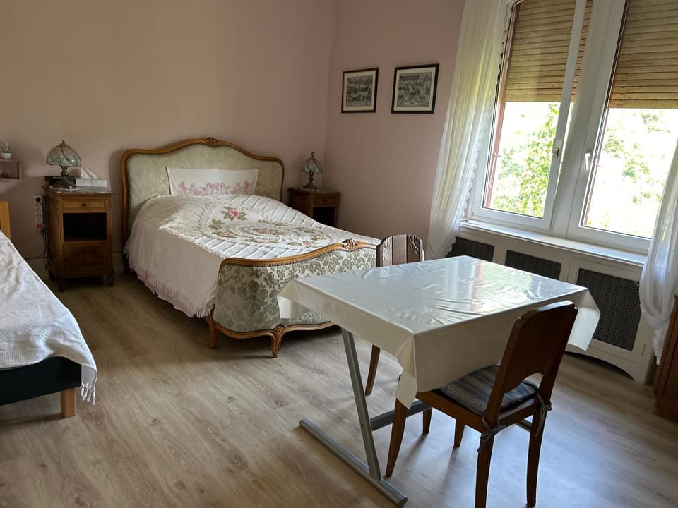 Chambre Gentiane 2 à 3 personnes wifi sdb partagée Vacation rental in Vosges
