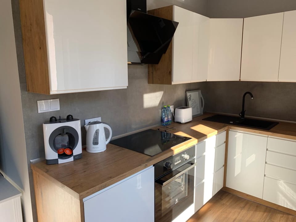 Grey apartment 50 m2 Apartment in Czechia