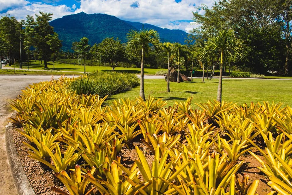 Nearby landmark, Natural landscape, Garden