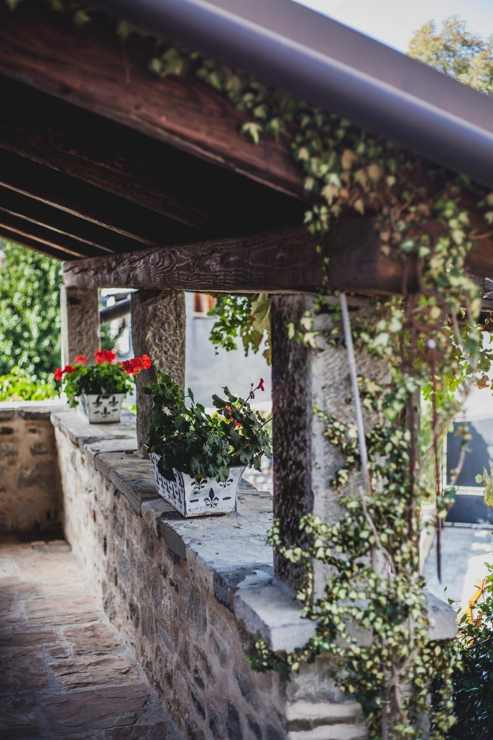 Garden view